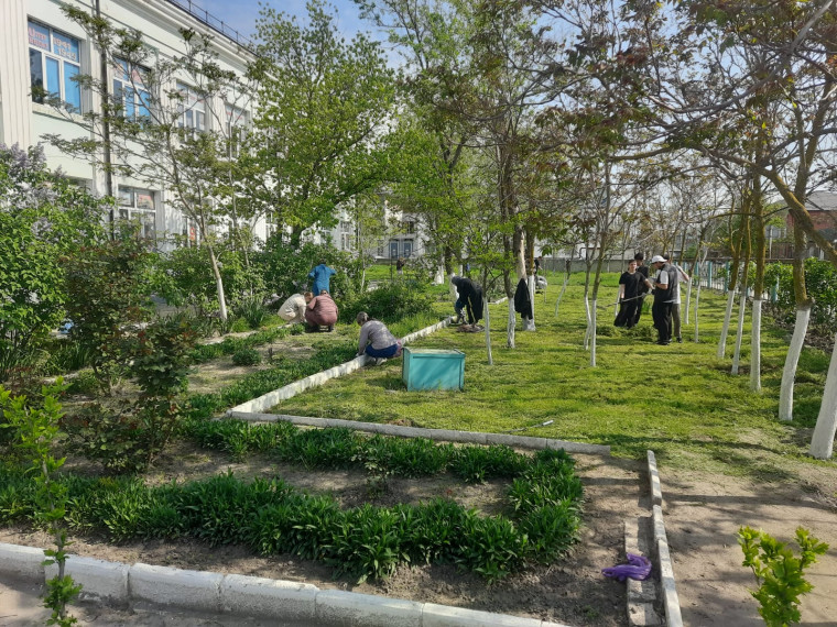 Всероссийский субботник - 2025.